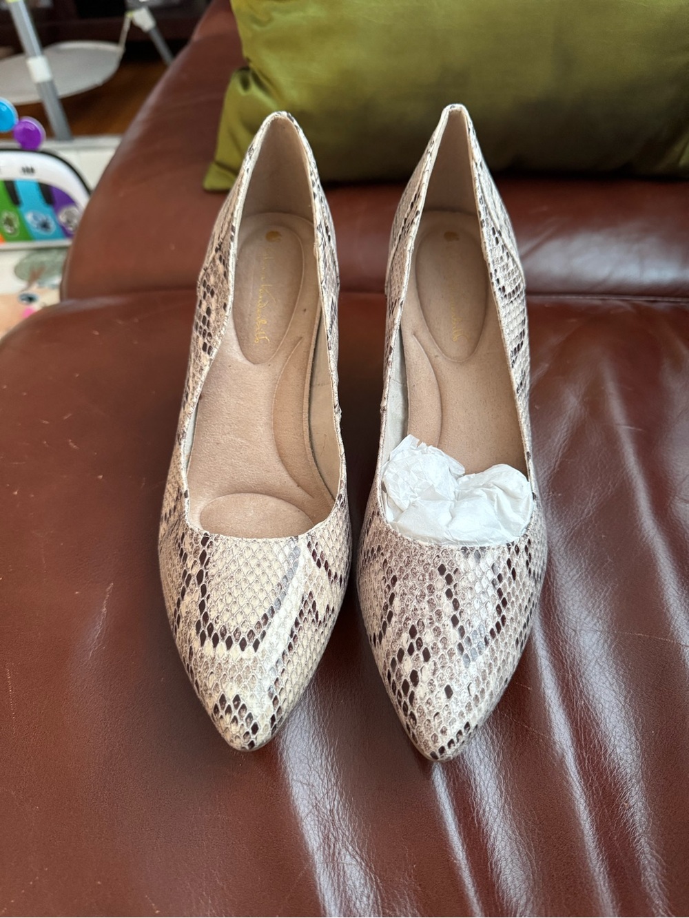 Gloria Vanderbilt Beige and Brown Snake-Print Pointed Toe Pumps - Picture 2 of 3
